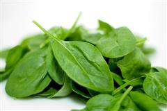 ulei pentru salate de legume